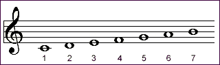 diatonic scale